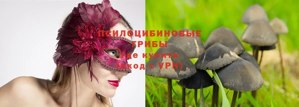мдпв Абаза