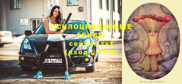 мдпв Абаза
