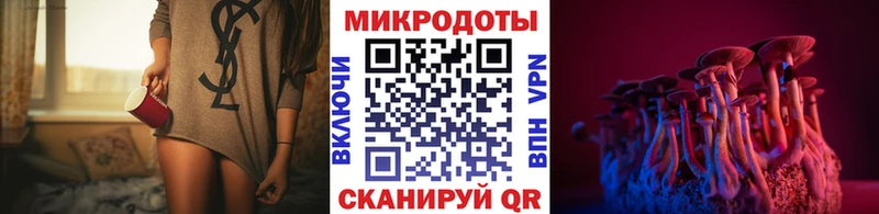 это состав  блэк спрут   Кохма  Галлюциногенные грибы Psilocybine cubensis 