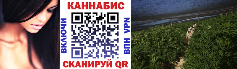 маркетплейс наркотические препараты  Кохма  Конопля Ganja 
